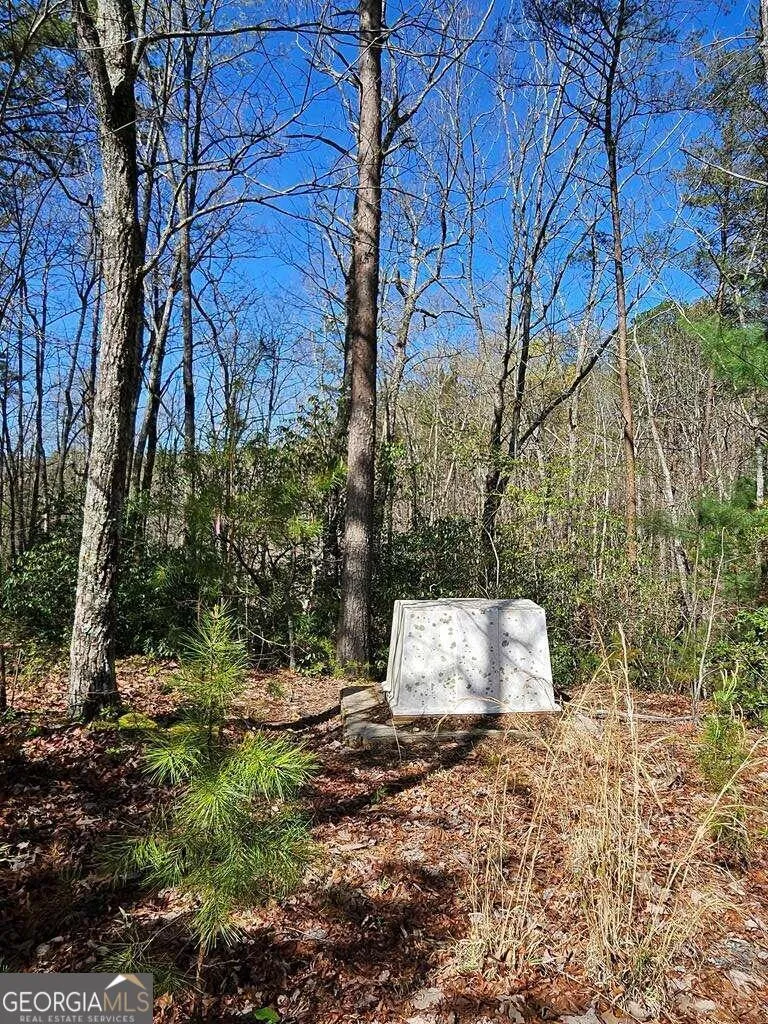 5.20 Deer Crest RD Blue Ridge, GA 30513