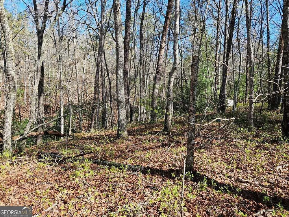 5.20 Deer Crest RD Blue Ridge, GA 30513
