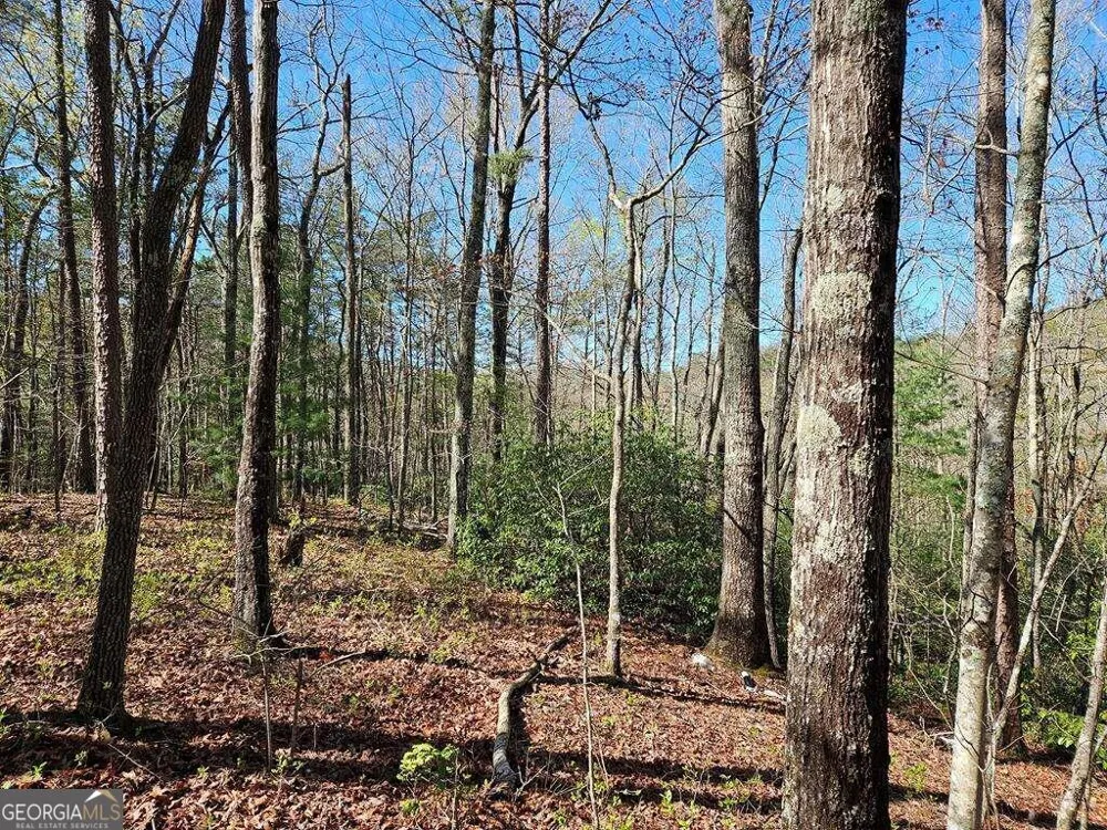 5.20 Deer Crest RD Blue Ridge, GA 30513