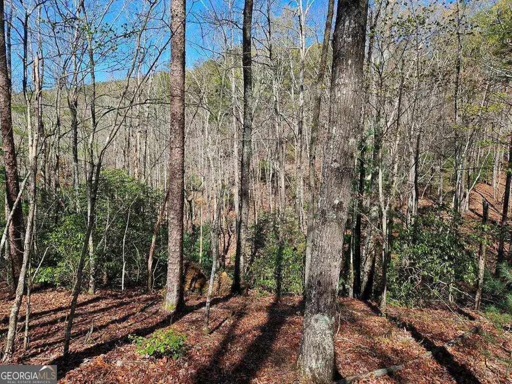 5.20 Deer Crest RD Blue Ridge, GA 30513