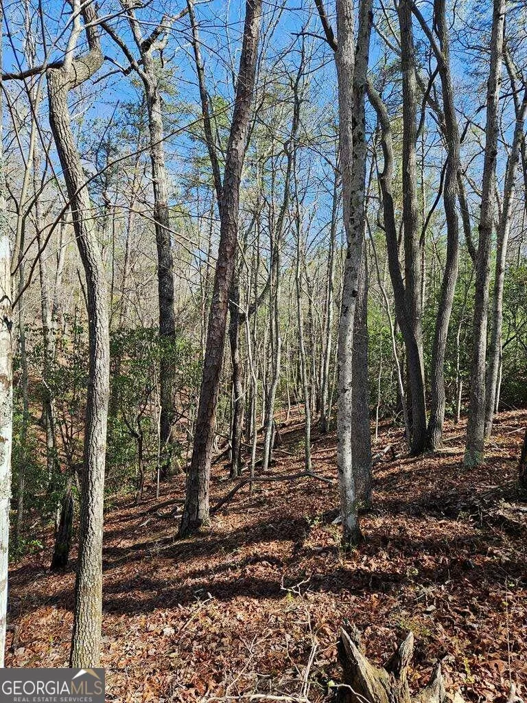 5.20 Deer Crest RD Blue Ridge, GA 30513