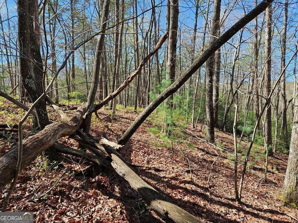 5.20 Deer Crest RD Blue Ridge, GA 30513