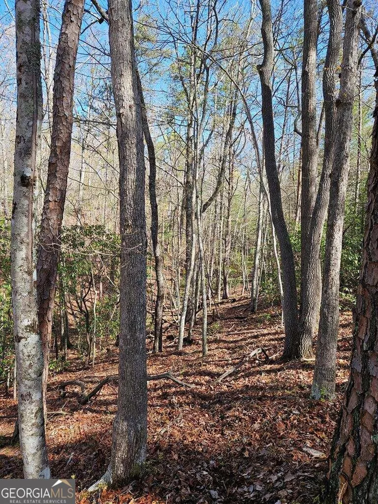 5.20 Deer Crest RD Blue Ridge, GA 30513