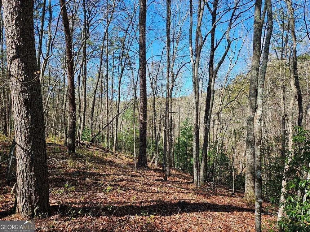 5.20 Deer Crest RD Blue Ridge, GA 30513
