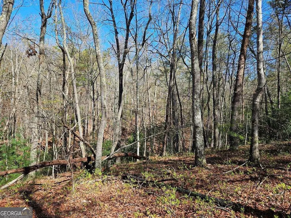 5.20 Deer Crest RD Blue Ridge, GA 30513