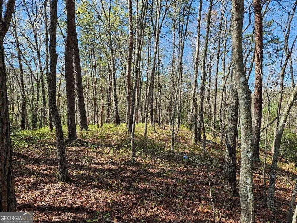 5.20 Deer Crest RD Blue Ridge, GA 30513