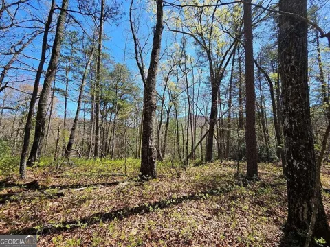 5.20 Deer Crest RD