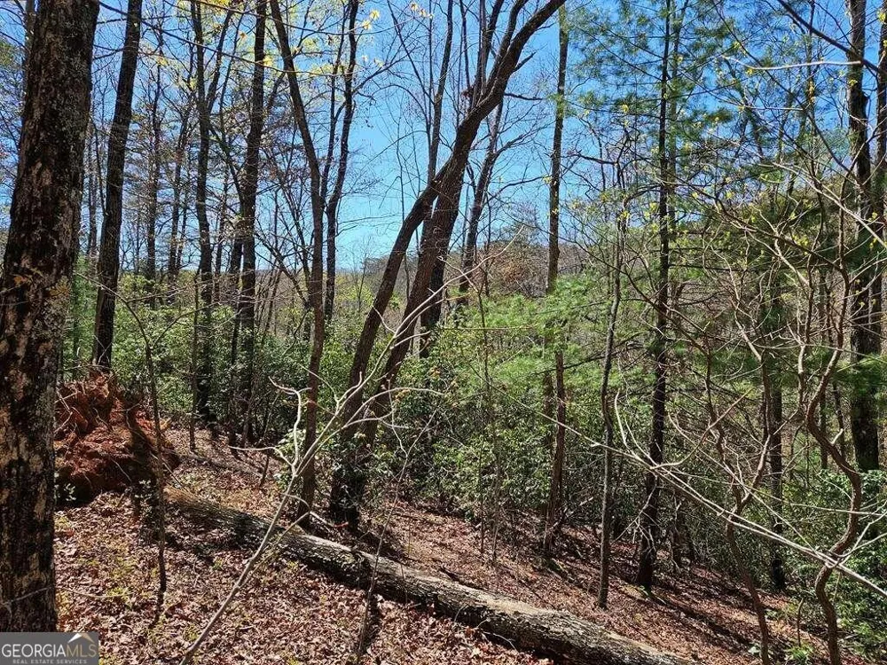 5.20 Deer Crest RD Blue Ridge, GA 30513