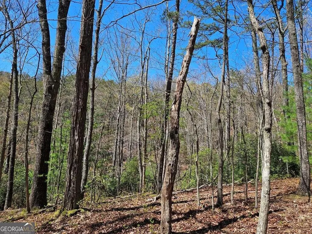 5.20 Deer Crest RD Blue Ridge, GA 30513