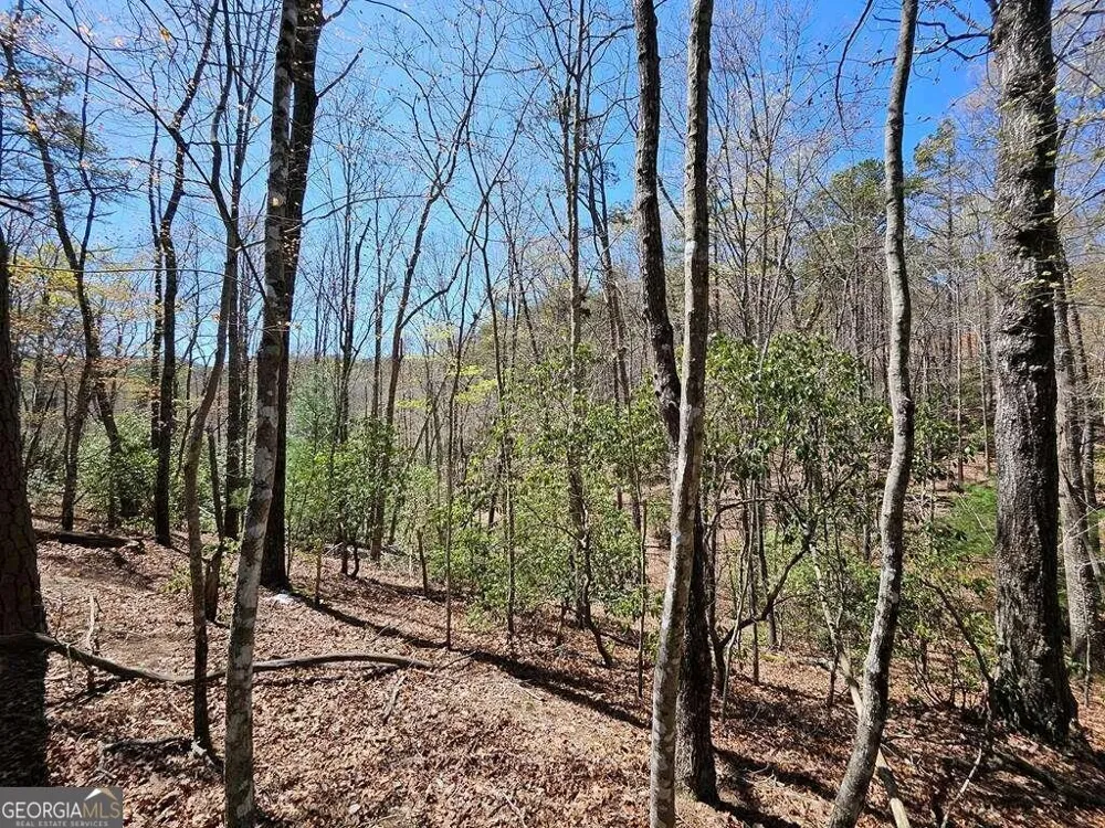 5.20 Deer Crest RD Blue Ridge, GA 30513