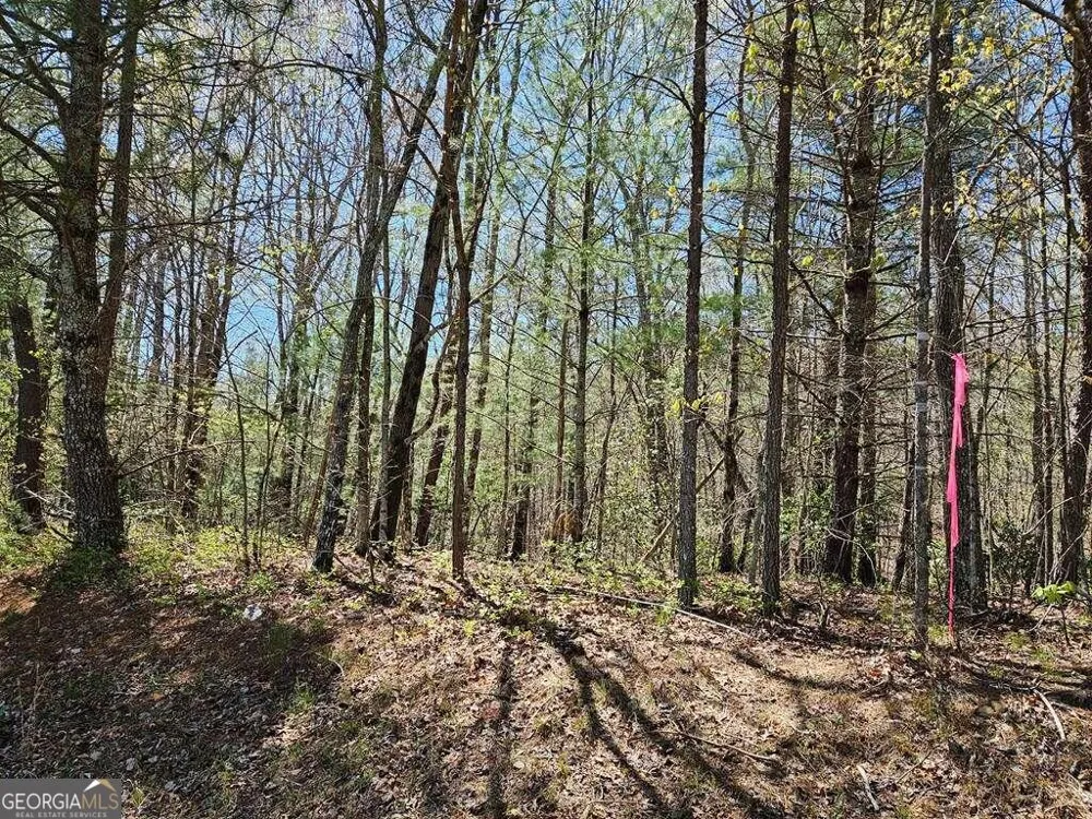 5.20 Deer Crest RD Blue Ridge, GA 30513