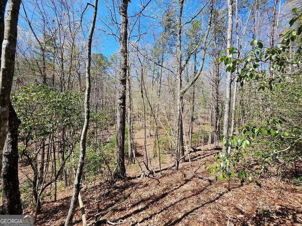 5.20 Deer Crest RD Blue Ridge, GA 30513