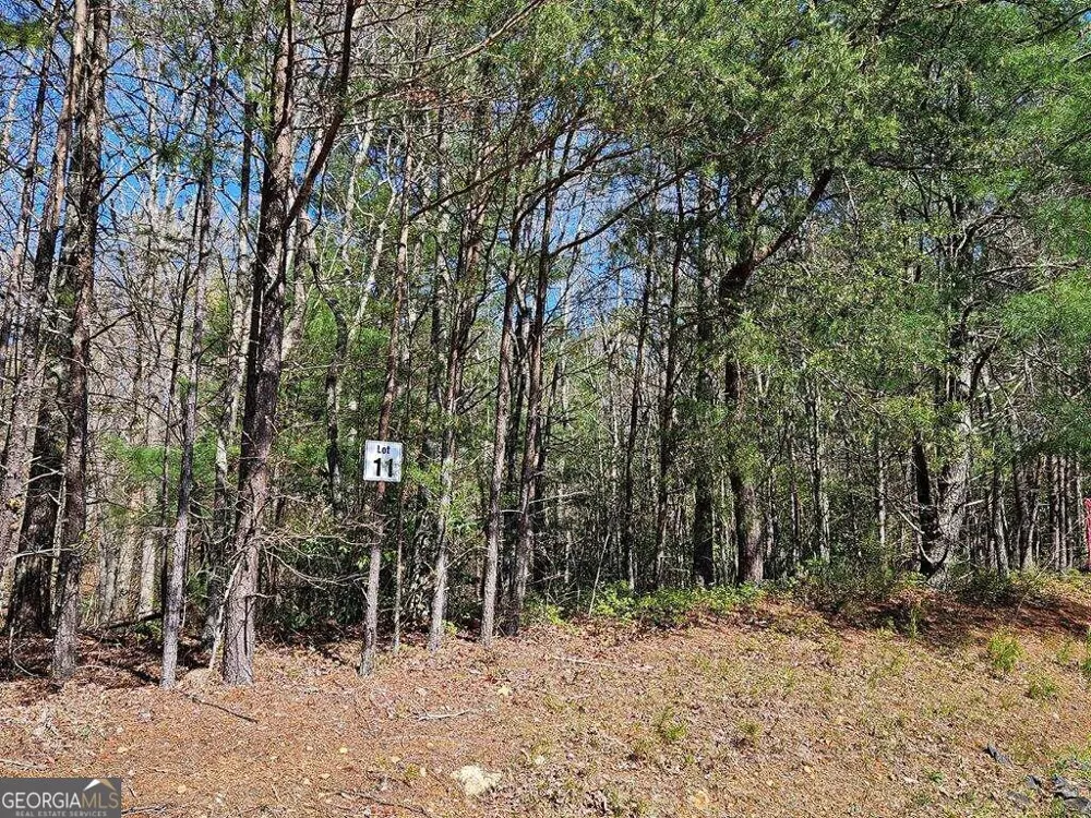 5.20 Deer Crest RD Blue Ridge, GA 30513