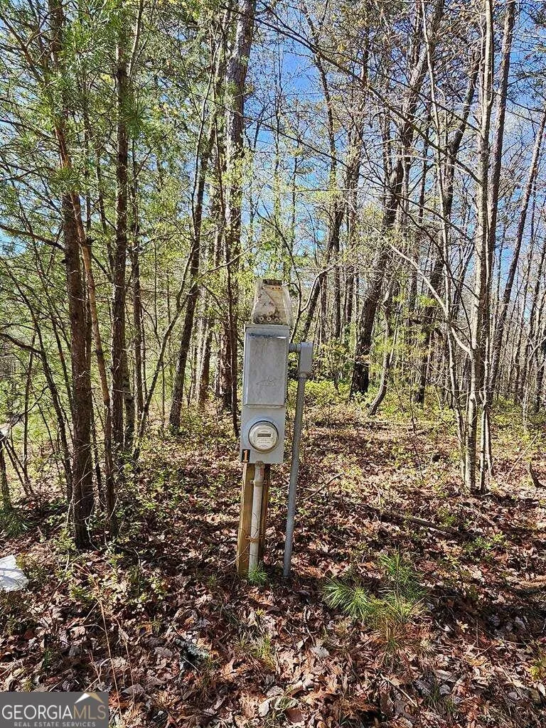 5.20 Deer Crest RD Blue Ridge, GA 30513