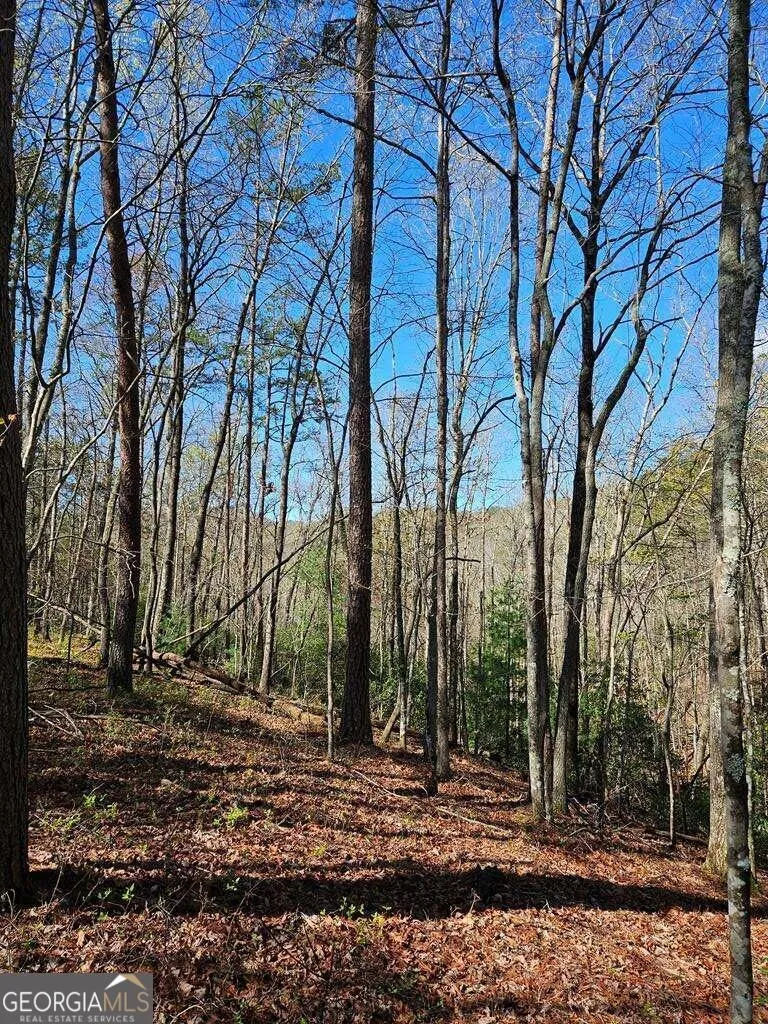 5.20 Deer Crest RD Blue Ridge, GA 30513