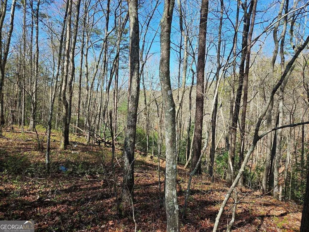 5.20 Deer Crest RD Blue Ridge, GA 30513