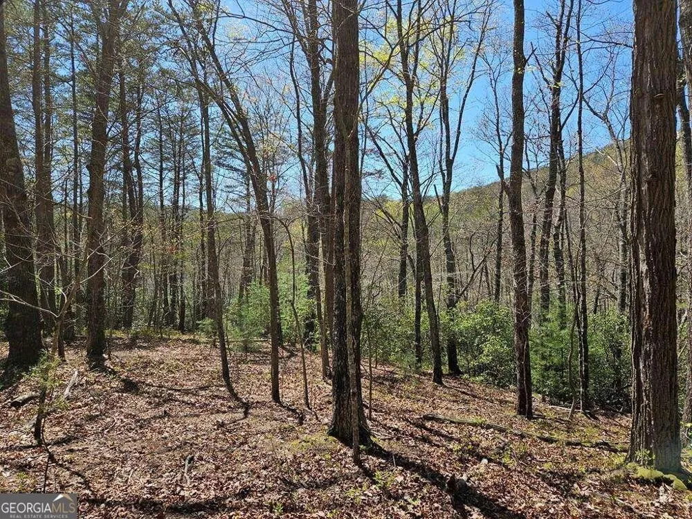5.20 Deer Crest RD Blue Ridge, GA 30513