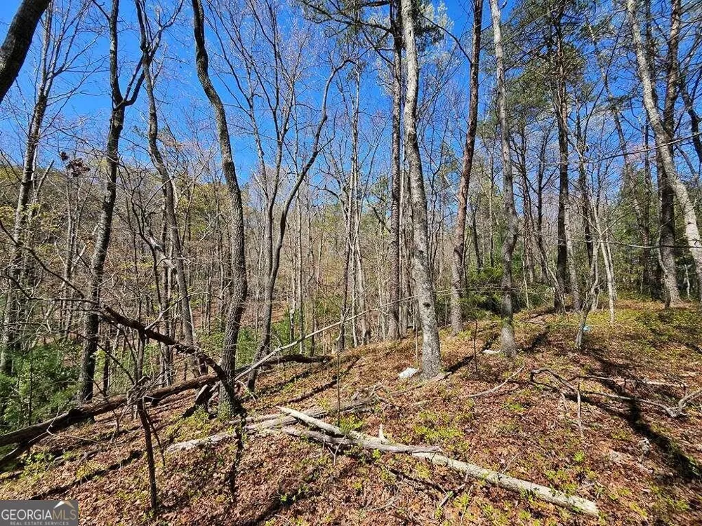 5.20 Deer Crest RD Blue Ridge, GA 30513