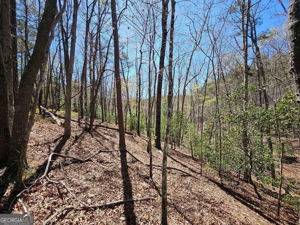 5.20 Deer Crest RD Blue Ridge, GA 30513