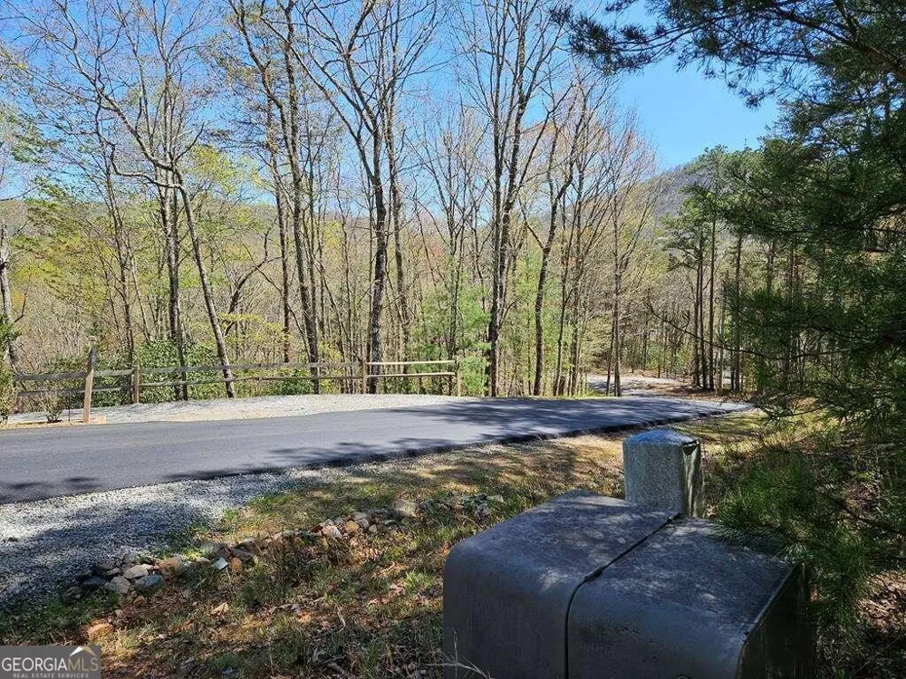 5.20 Deer Crest RD Blue Ridge, GA 30513