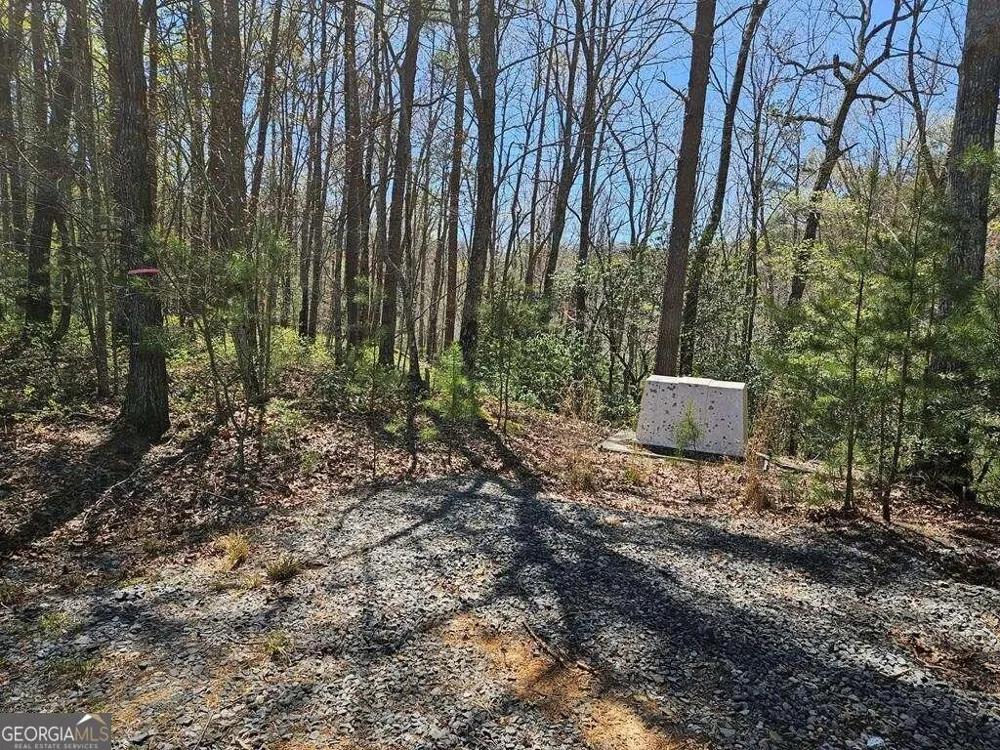 5.20 Deer Crest RD Blue Ridge, GA 30513
