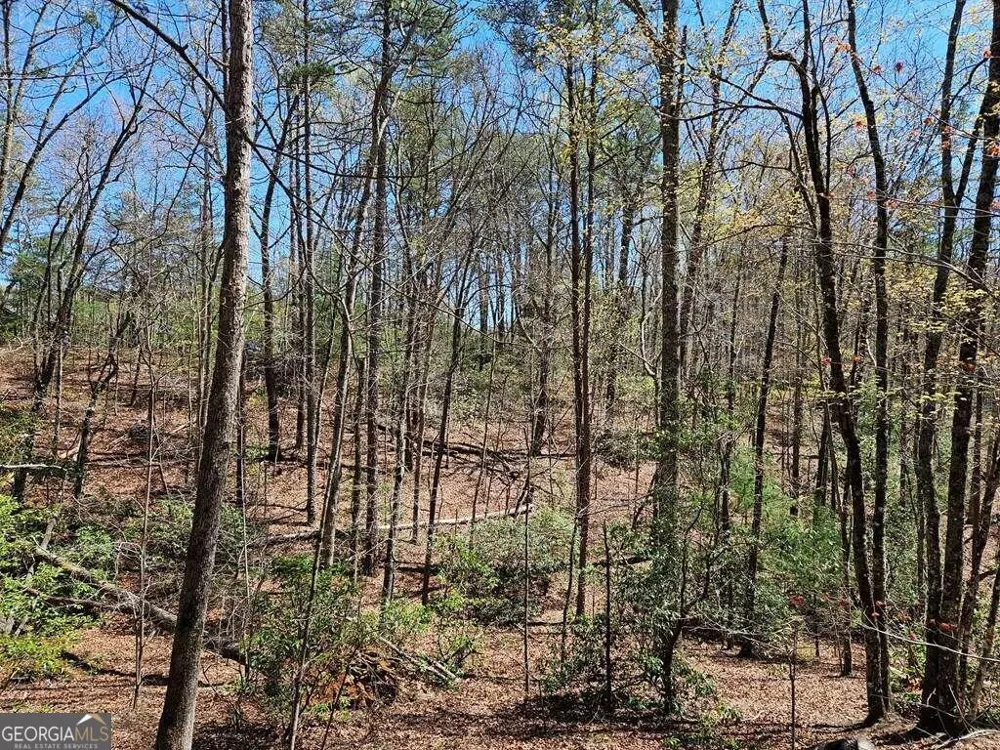 5.20 Deer Crest RD Blue Ridge, GA 30513