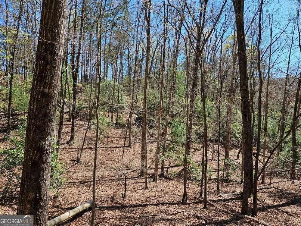 5.20 Deer Crest RD Blue Ridge, GA 30513