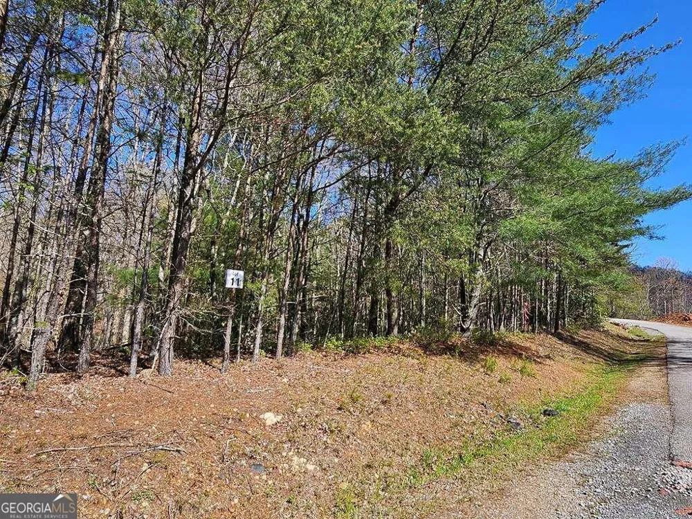 5.20 Deer Crest RD Blue Ridge, GA 30513
