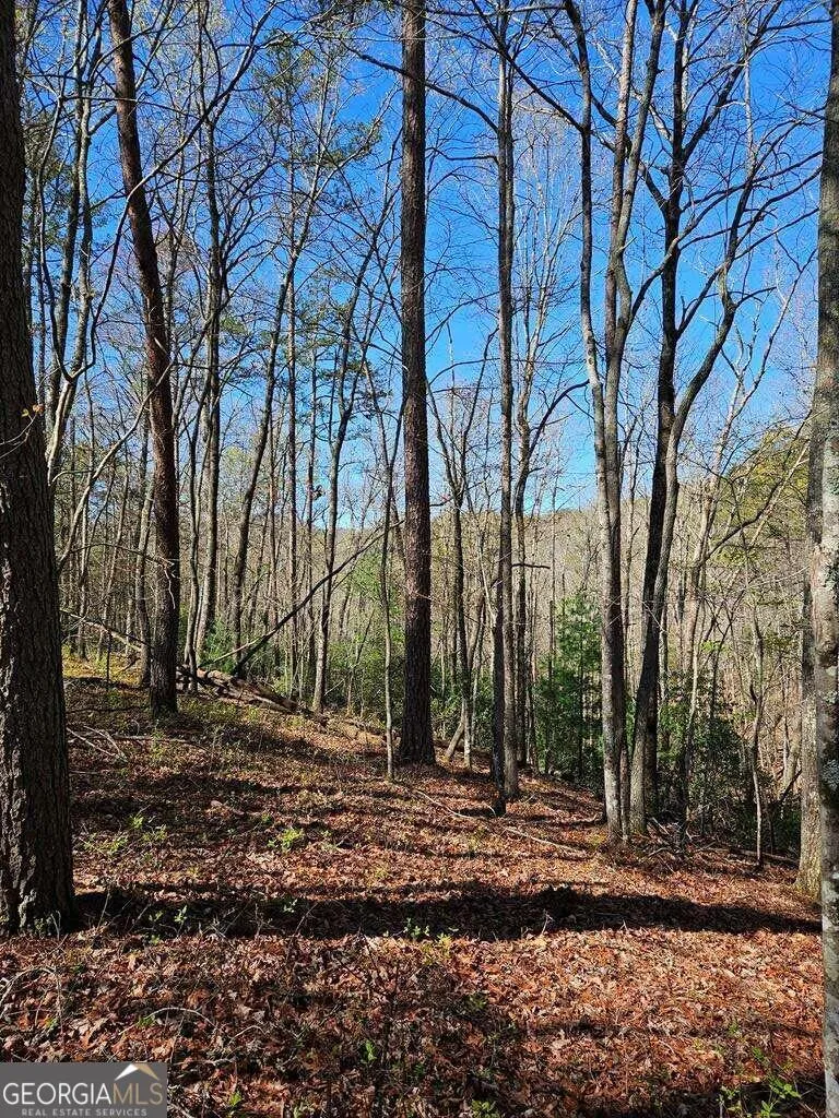 5.20 Deer Crest RD Blue Ridge, GA 30513