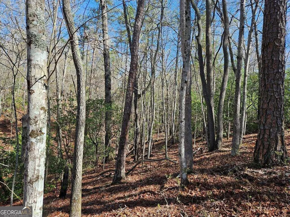 5.20 Deer Crest RD Blue Ridge, GA 30513