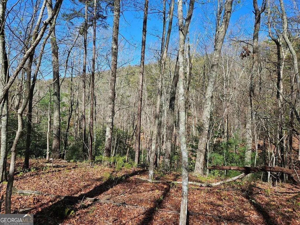 5.20 Deer Crest RD Blue Ridge, GA 30513