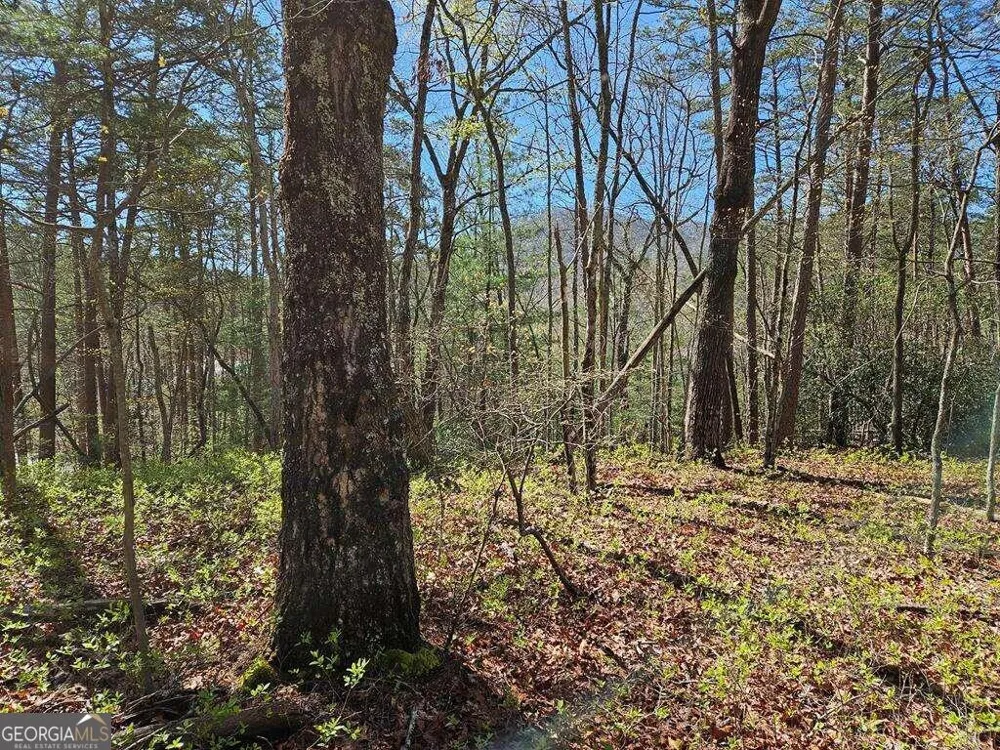 5.20 Deer Crest RD Blue Ridge, GA 30513