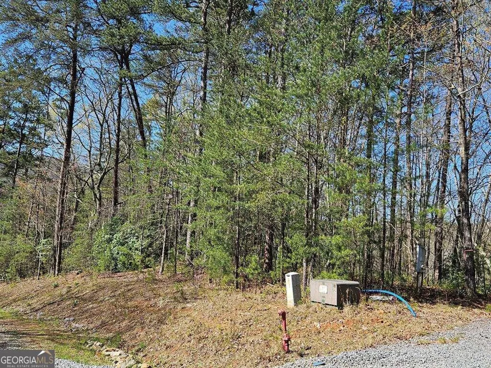 5.20 Deer Crest RD Blue Ridge, GA 30513