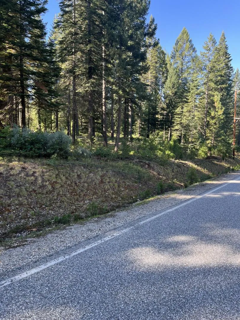 14695 Red Dog Road Nevada City, CA 95959
