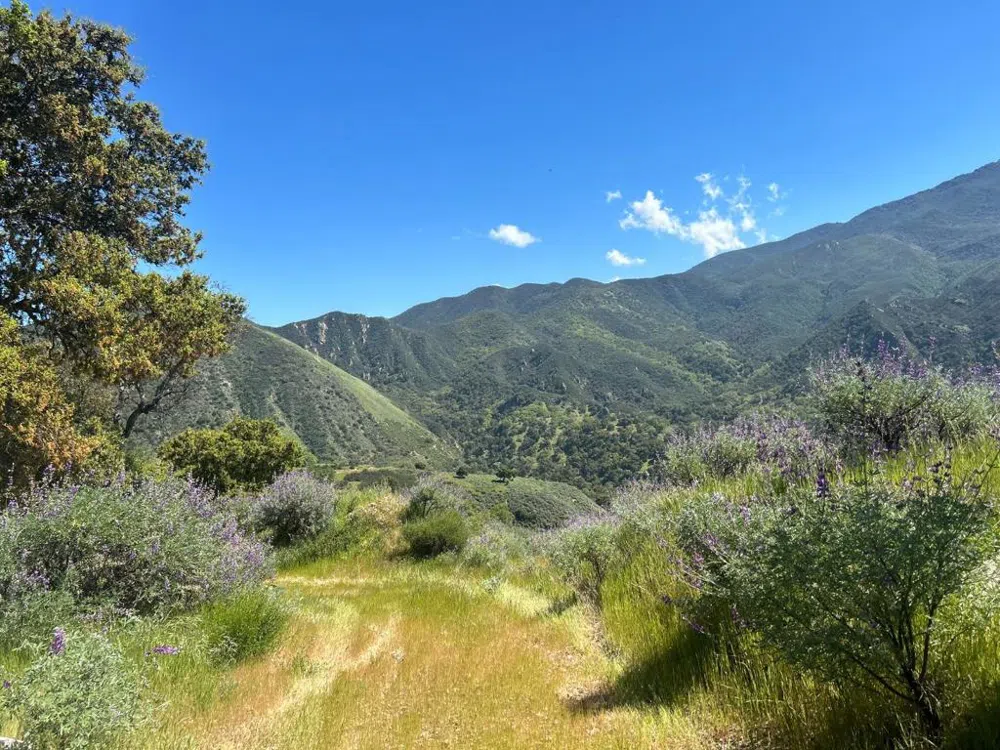 47208 Arroyo Seco Road Greenfield, CA 93927