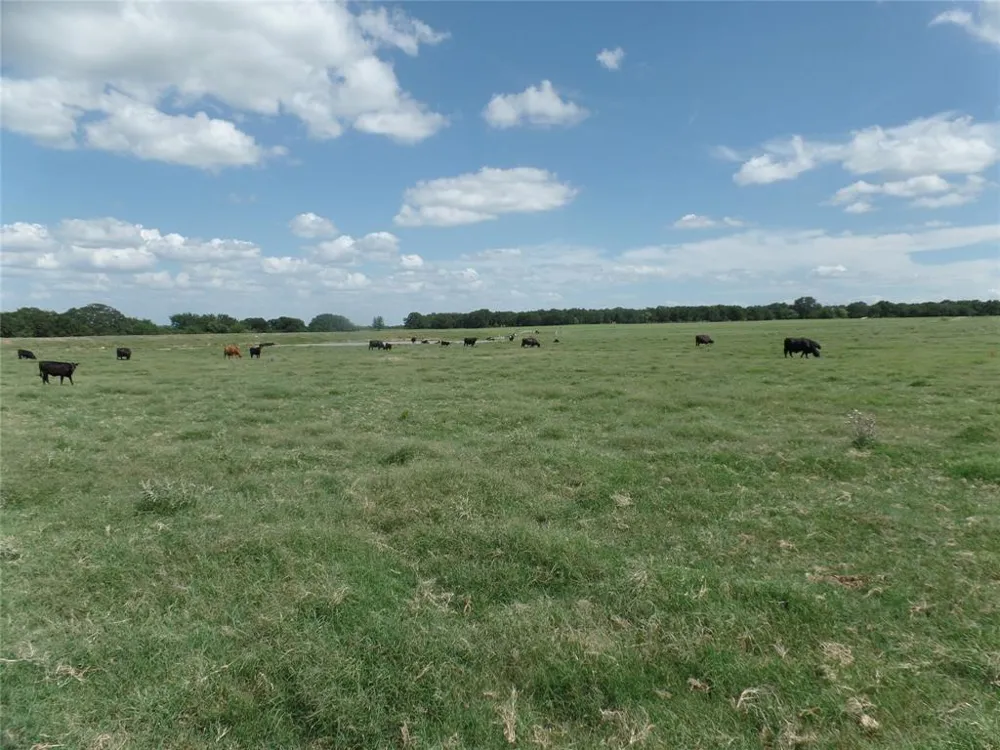 FM 3025 Stephenville, TX 76401