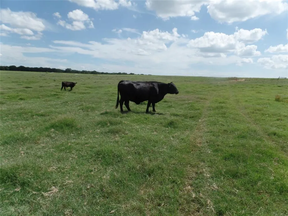 FM 3025 Stephenville, TX 76401