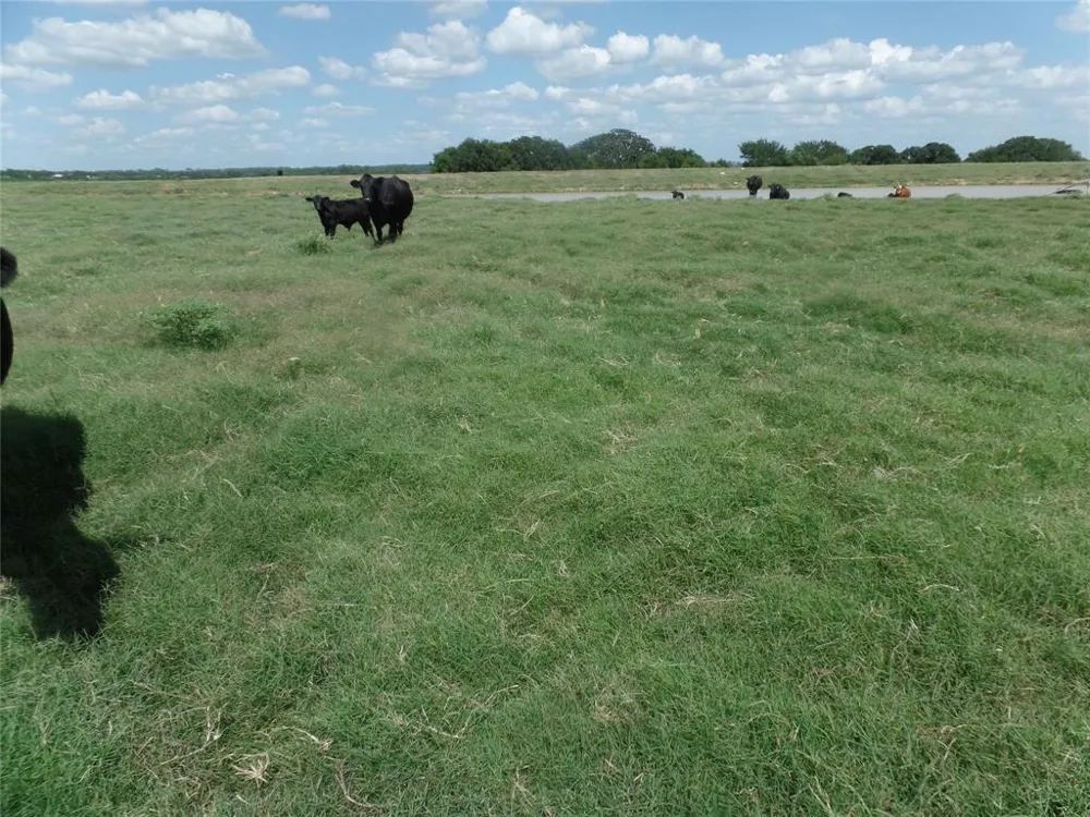 FM 3025 Stephenville, TX 76401
