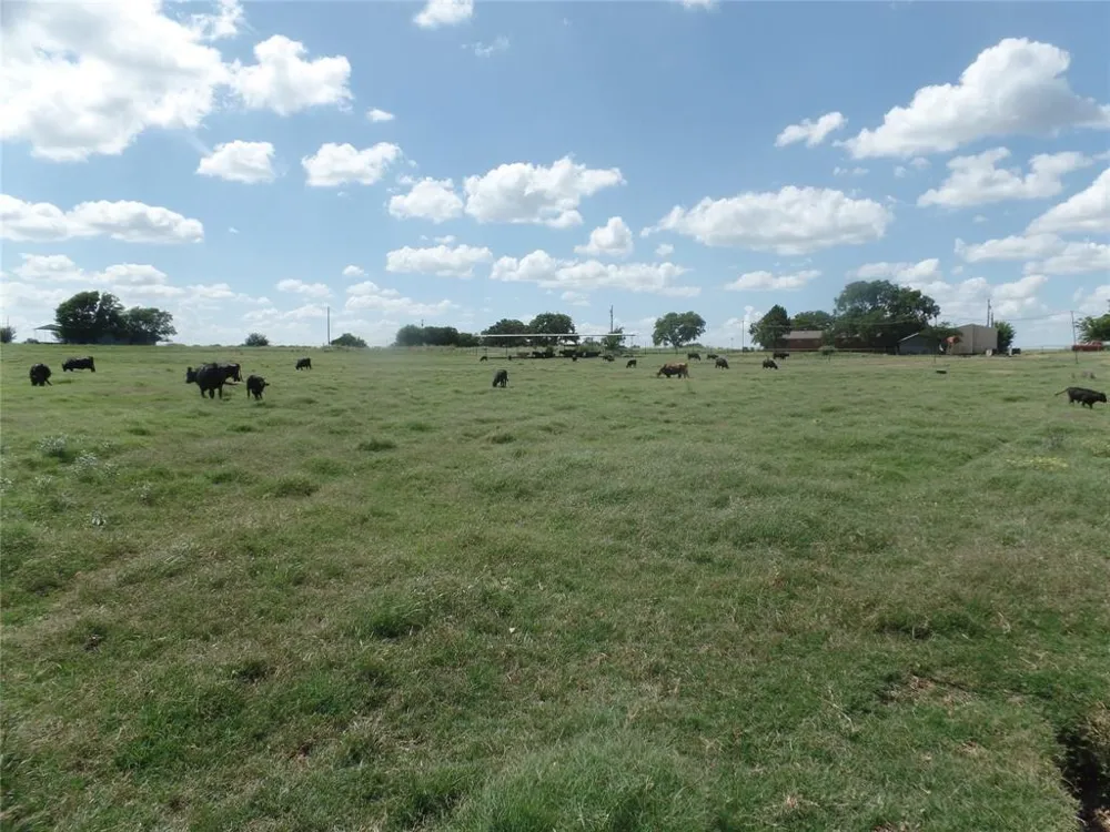 FM 3025 Stephenville, TX 76401