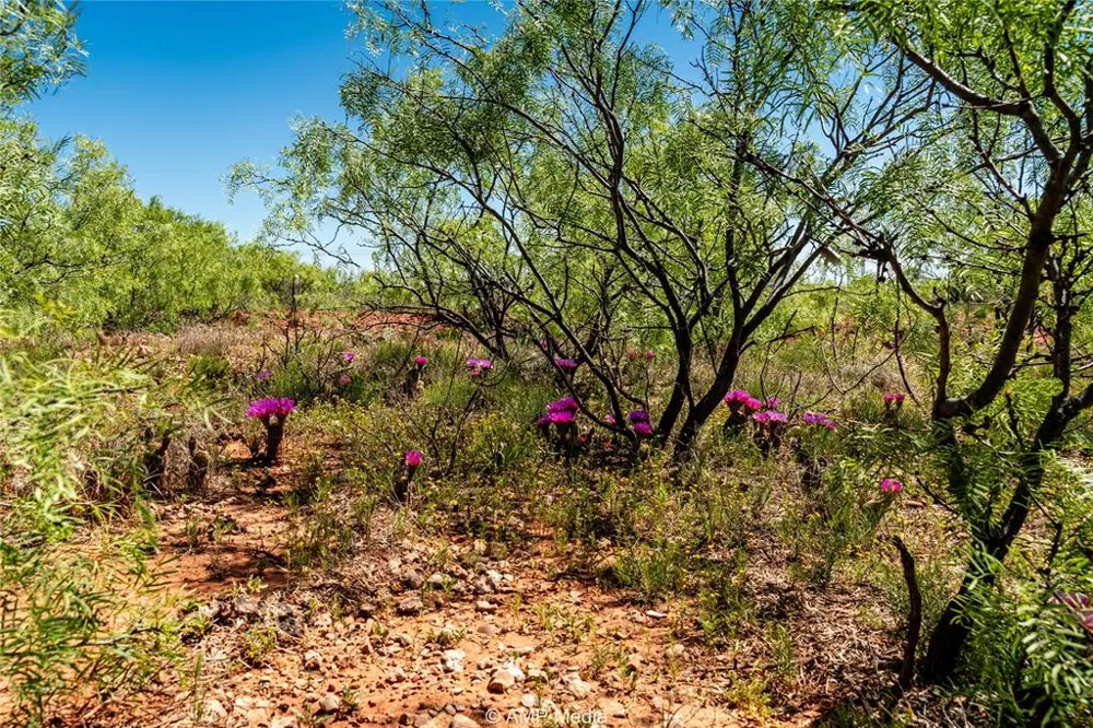 FM 600 Haskell, TX 79521