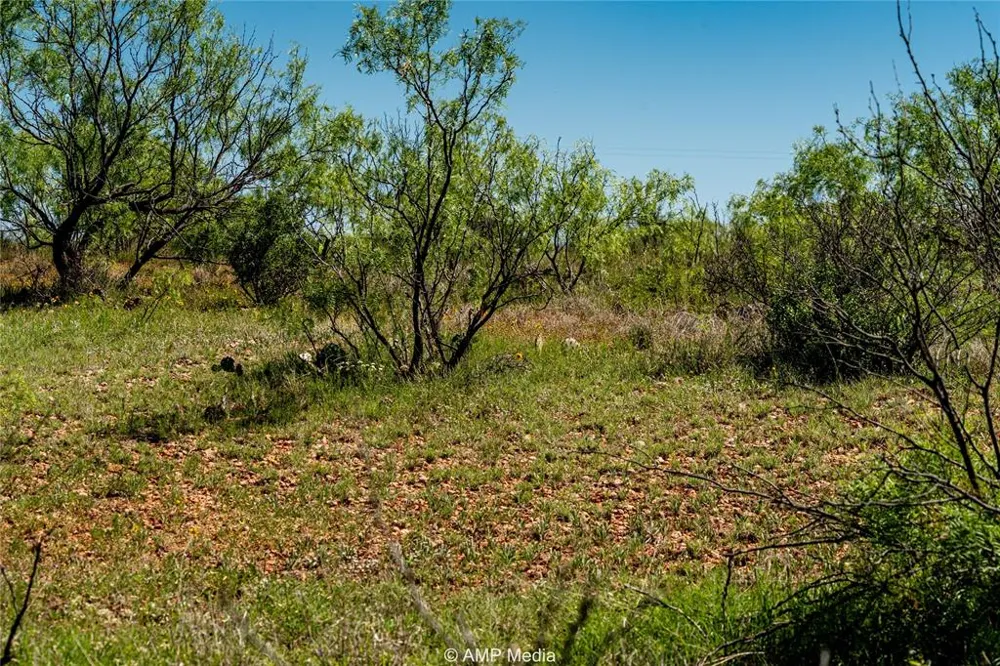 FM 600 Haskell, TX 79521