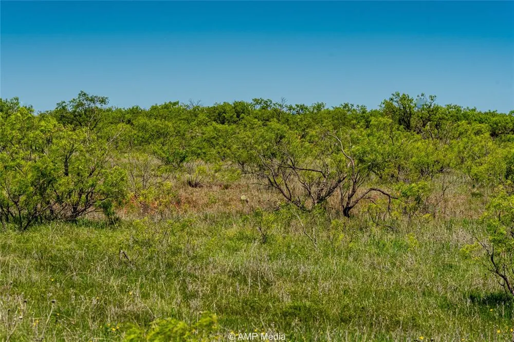 FM 600 Haskell, TX 79521