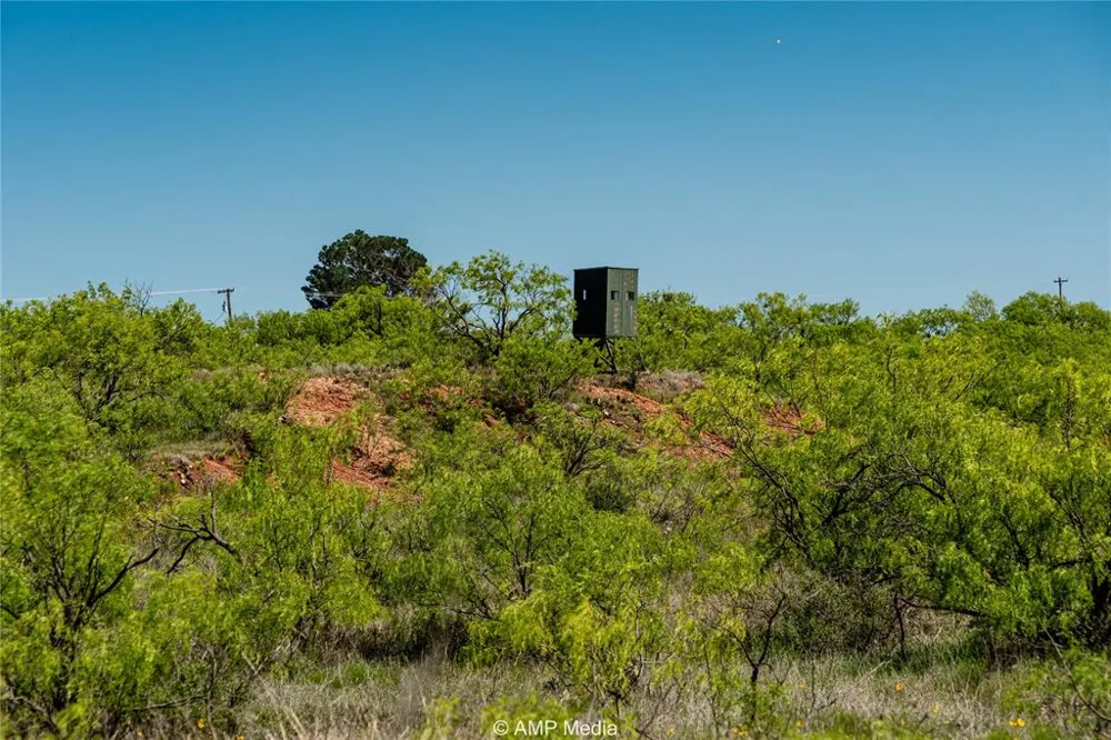 FM 600 Haskell, TX 79521