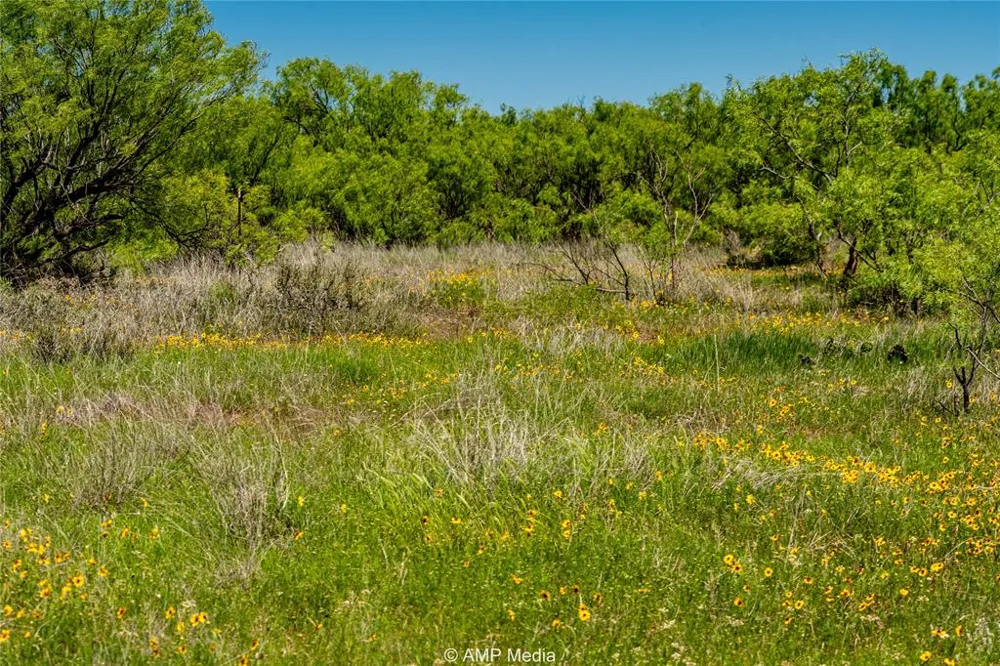 FM 600 Haskell, TX 79521