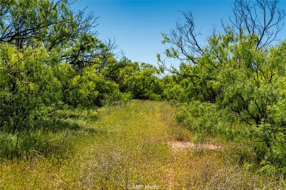 FM 600 Haskell, TX 79521