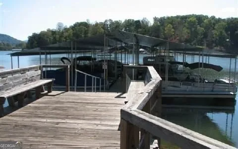 1481 Phillips Cove DR Hiawassee, GA 30546