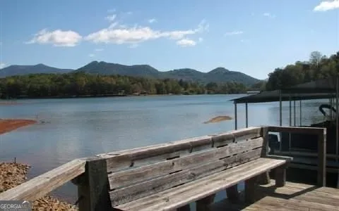 1481 Phillips Cove DR Hiawassee, GA 30546