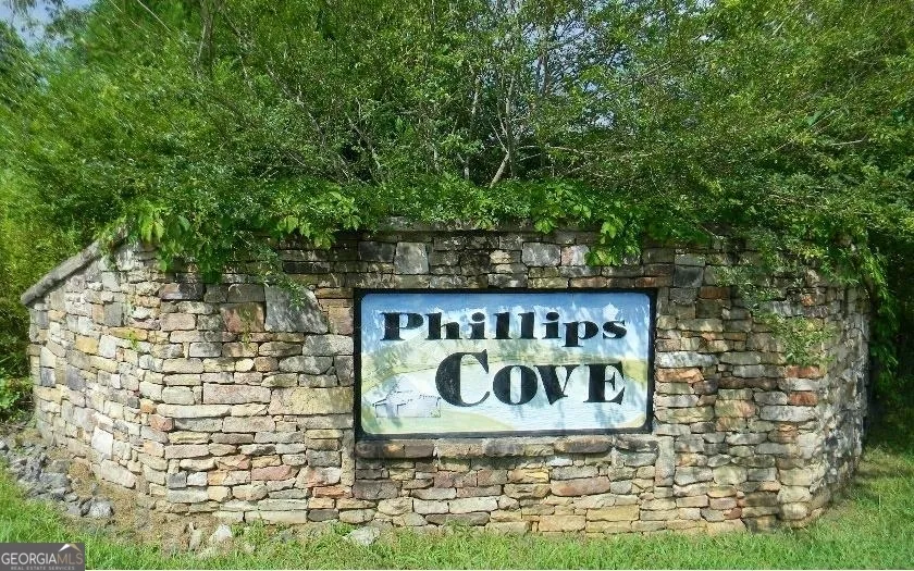 1481 Phillips Cove DR Hiawassee, GA 30546