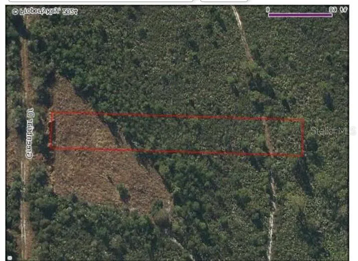 1055 GREENBRIAR DRIVE Christmas, FL 32709