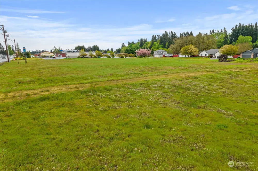 9538 184th Avenue SW Rochester, WA 98579